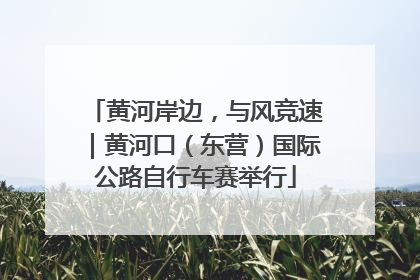 黄河岸边，与风竞速｜黄河口（东营）国际公路自行车赛举行