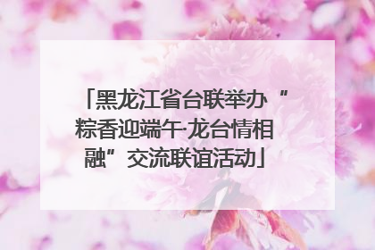 黑龙江省台联举办“粽香迎端午·龙台情相融”交流联谊活动