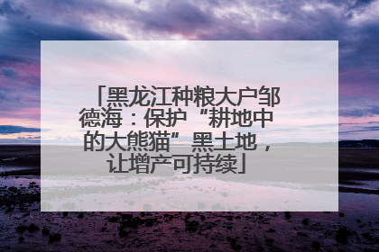 黑龙江种粮大户邹德海：保护“耕地中的大熊猫”黑土地，让增产可持续