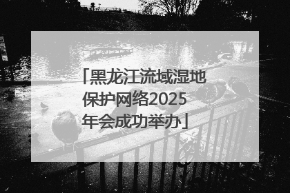 黑龙江流域湿地保护网络2025年会成功举办