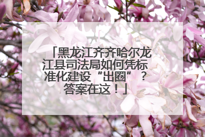黑龙江齐齐哈尔龙江县司法局如何凭标准化建设“出圈”？答案在这！