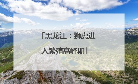 黑龙江：狮虎进入繁殖高峰期