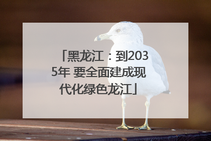 黑龙江：到2035年 要全面建成现代化绿色龙江