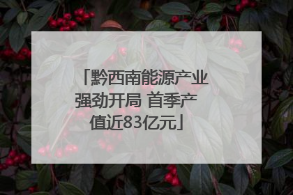 黔西南能源产业强劲开局 首季产值近83亿元
