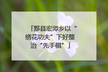 黟县宏潭乡以“绣花功夫”下好整治“先手棋”
