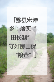 黟县宏潭乡：落实“田长制” 守好良田保“粮仓”