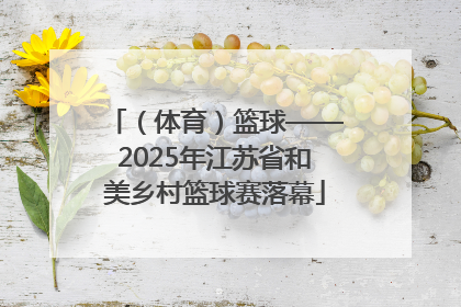 （体育）篮球——2025年江苏省和美乡村篮球赛落幕