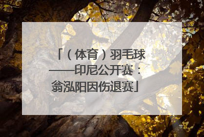 （体育）羽毛球——印尼公开赛：翁泓阳因伤退赛
