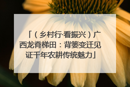 （乡村行·看振兴）广西龙脊梯田：背篓变迁见证千年农耕传统魅力
