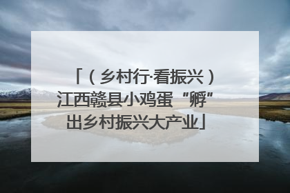（乡村行·看振兴）江西赣县小鸡蛋“孵”出乡村振兴大产业