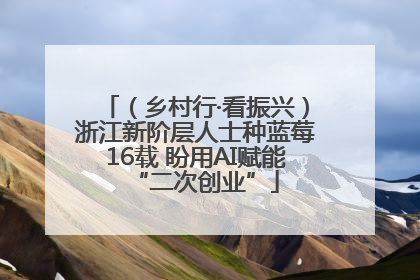 （乡村行·看振兴）浙江新阶层人士种蓝莓16载 盼用AI赋能“二次创业”
