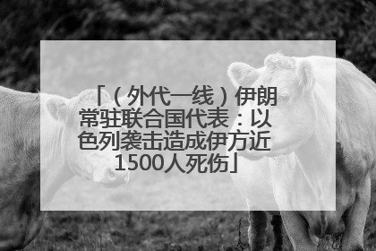 （外代一线）伊朗常驻联合国代表：以色列袭击造成伊方近1500人死伤