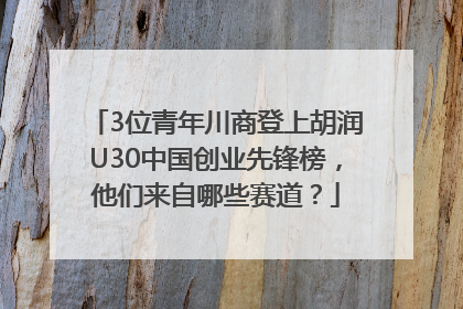 3位青年川商登上胡润U30中国创业先锋榜，他们来自哪些赛道？