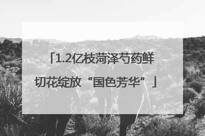 1.2亿枝菏泽芍药鲜切花绽放“国色芳华”