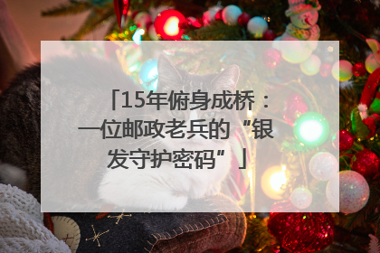 15年俯身成桥：一位邮政老兵的“银发守护密码”