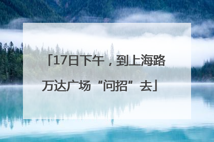 17日下午，到上海路万达广场“问招”去