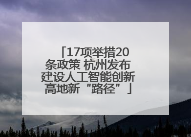 17项举措20条政策 杭州发布建设人工智能创新高地新“路径”