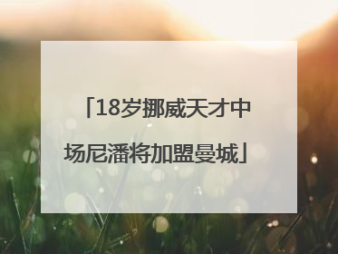 18岁挪威天才中场尼潘将加盟曼城