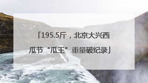 195.5斤,北京大兴西瓜节“瓜王”重量破纪录