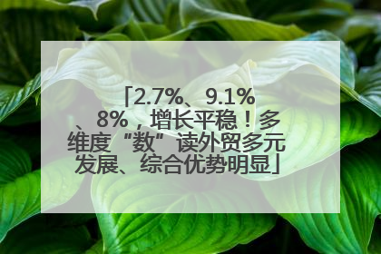 2.7%、9.1%、8%，增长平稳！多维度“数”读外贸多元发展、综合优势明显