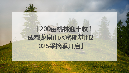 200亩桃林迎丰收！成都龙泉山水蜜桃基地2025采摘季开启