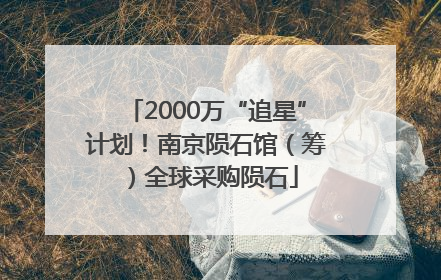 2000万“追星”计划！南京陨石馆（筹）全球采购陨石