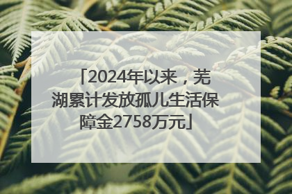 2024年以来，芜湖累计发放孤儿生活保障金2758万元