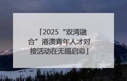 2025“双湾融合”港澳青年人才对接活动在无锡启幕