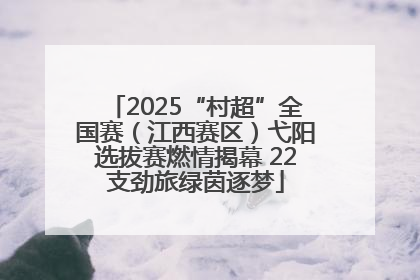 2025“村超”全国赛（江西赛区）弋阳选拔赛燃情揭幕 22支劲旅绿茵逐梦