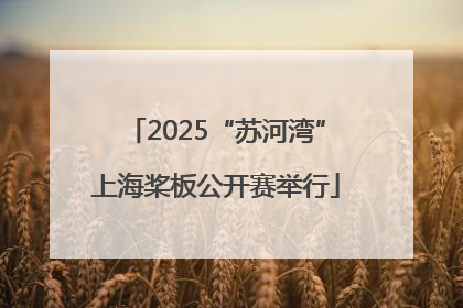2025“苏河湾”上海桨板公开赛举行