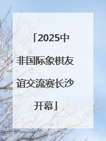 2025中非国际象棋友谊交流赛长沙开幕
