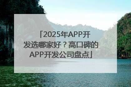 2025年APP开发选哪家好？高口碑的APP开发公司盘点