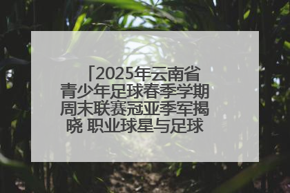 2025年云南省青少年足球春季学期周末联赛冠亚季军揭晓 职业球星与足球小将共享荣耀时刻