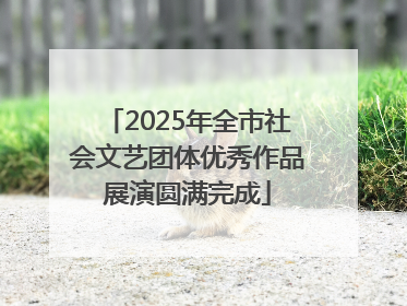 2025年全市社会文艺团体优秀作品展演圆满完成