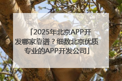 2025年北京APP开发哪家靠谱？细数北京优质专业的APP开发公司