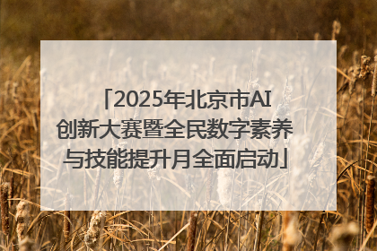 2025年北京市AI创新大赛暨全民数字素养与技能提升月全面启动