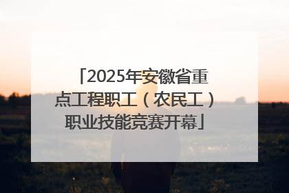 2025年安徽省重点工程职工（农民工）职业技能竞赛开幕