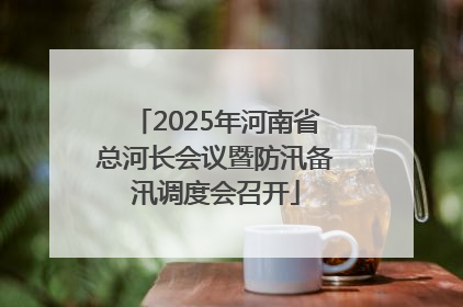 2025年河南省总河长会议暨防汛备汛调度会召开