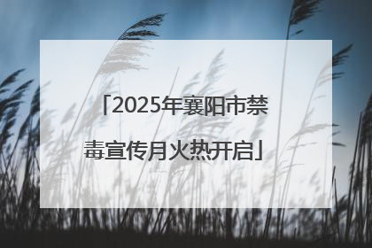 2025年襄阳市禁毒宣传月火热开启
