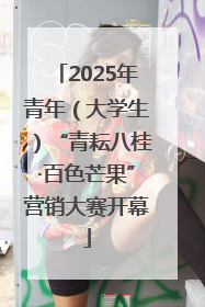 2025年青年（大学生）“青耘八桂·百色芒果”营销大赛开幕