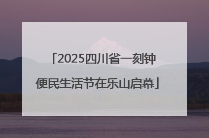 2025四川省一刻钟便民生活节在乐山启幕