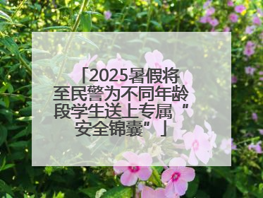 2025暑假将至民警为不同年龄段学生送上专属“安全锦囊”