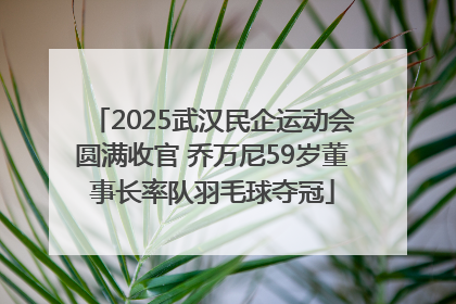 2025武汉民企运动会圆满收官 乔万尼59岁董事长率队羽毛球夺冠