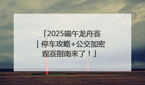 2025端午龙舟赛｜停车攻略+公交加密 观赛指南来了！
