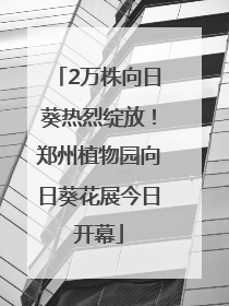 2万株向日葵热烈绽放！郑州植物园向日葵花展今日开幕