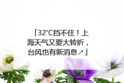 32℃挡不住！上海天气又要大转折，台风也有新消息↗