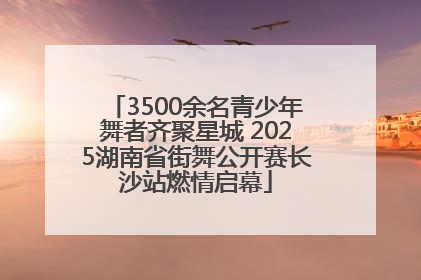 3500余名青少年舞者齐聚星城 2025湖南省街舞公开赛长沙站燃情启幕