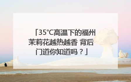 35℃高温下的福州茉莉花越热越香 背后门道你知道吗？