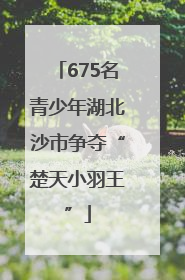 675名青少年湖北沙市争夺“楚天小羽王”