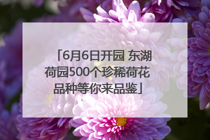 6月6日开园 东湖荷园500个珍稀荷花品种等你来品鉴